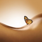 ���������� 26 ��� �� Beauty-�������